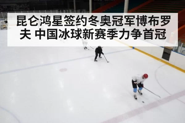 ice hockey rink